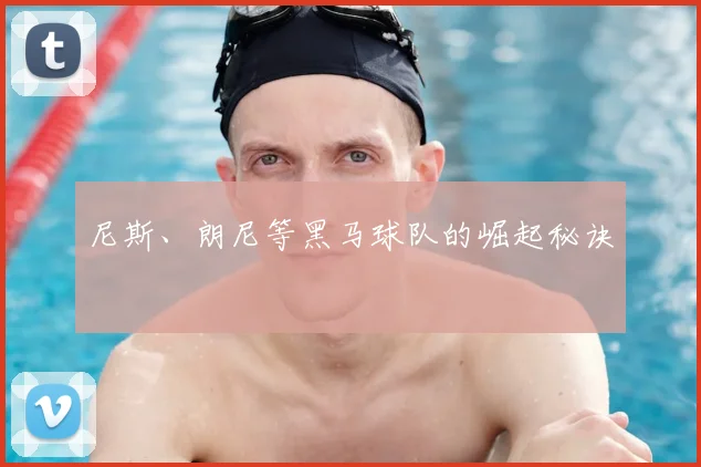 尼斯、朗尼等黑马球队的崛起秘诀